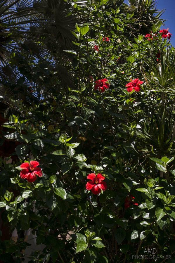 La Maddalena Los Flamingos住宿加早餐旅馆 外观 照片
